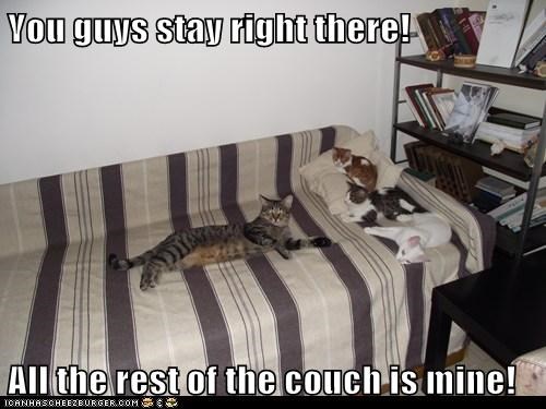You guys stay right there!  All the rest of the couch is mine!
