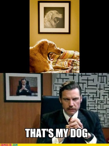 Pets and Owners Look Alike