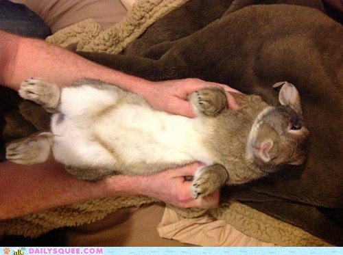Reader Squee: Bolt Getting Cuddles