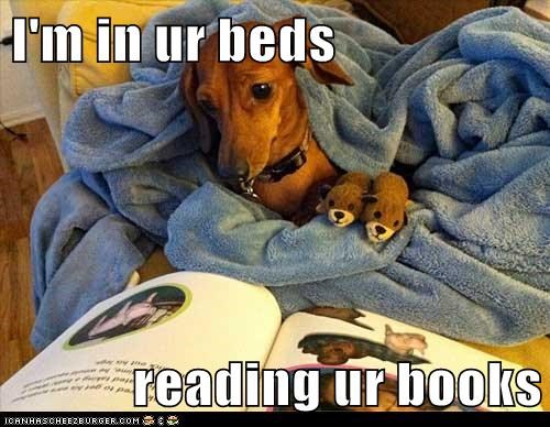 I'm in ur beds  reading ur books
