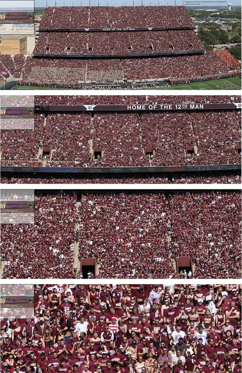 There's One in Every Crowd