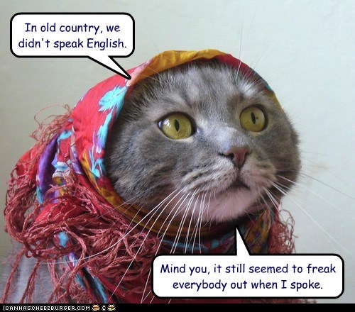In old country, we didn't speak English.