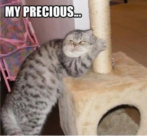 Who Let the Cat Watch 'Lord of the Rings' Again?