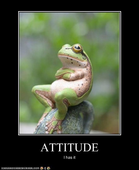 ATTITUDE