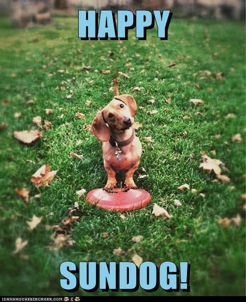 Happy Sundog! 