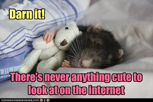 If Only There Was Some Sort of Site That You Could Go To for Squee