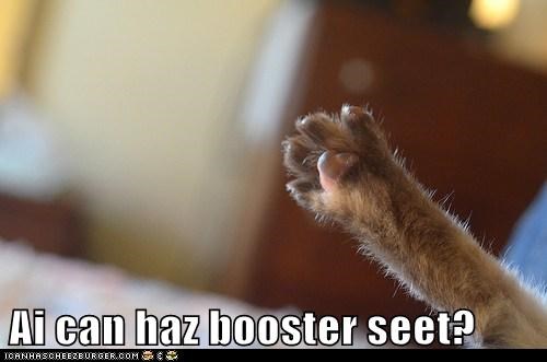 Ai can haz booster seet?
