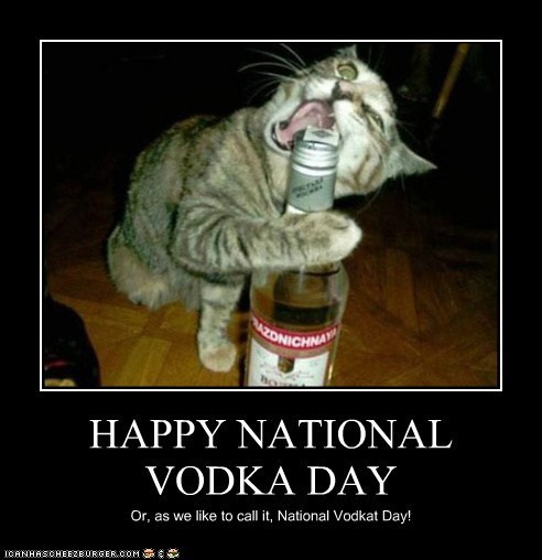 How Are You Celebrating National Vodkat Day?