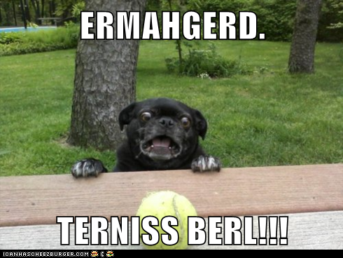 ERMAHGERD.  TERNISS BERL!!!