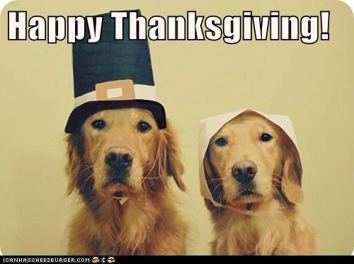 Happy Thanksgiving!