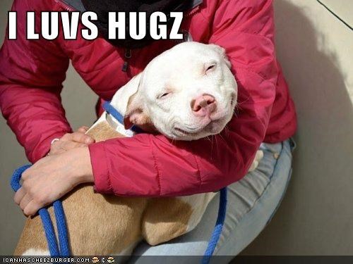 I LUVS HUGZ