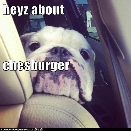 heyz about  chesburger