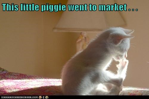 This little piggie went to market . . .