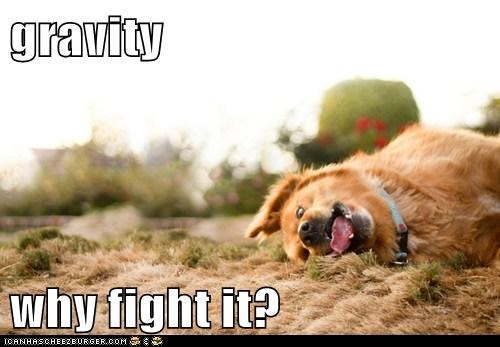 Just give in...