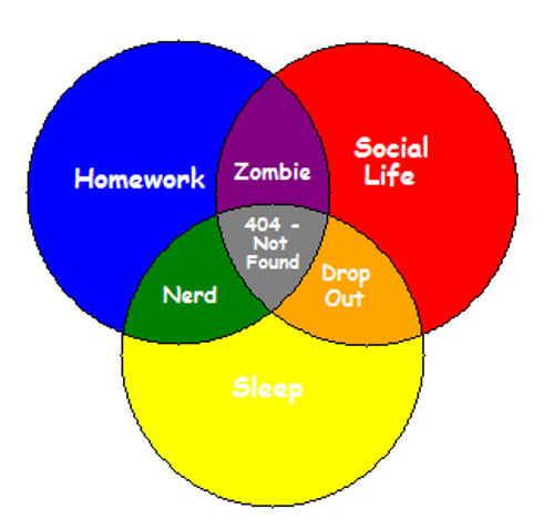My College Life