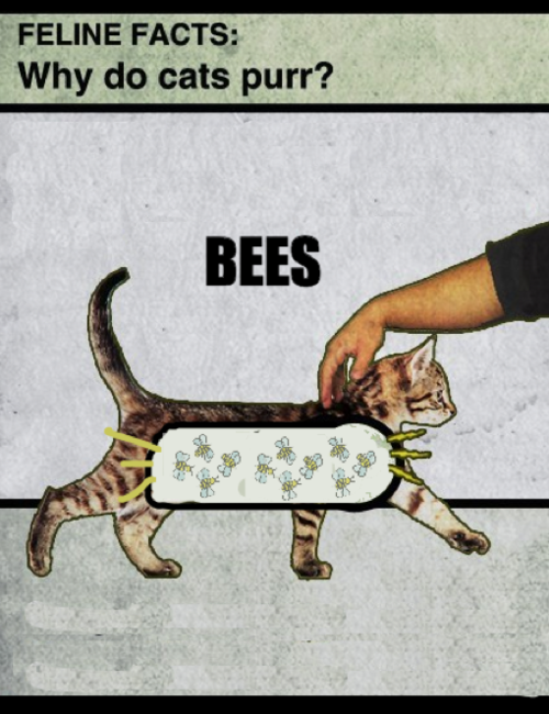 It's Science