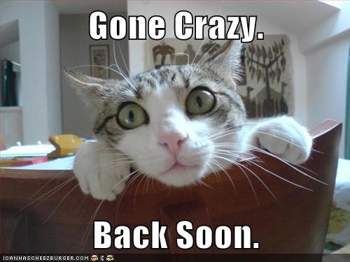 Gone Crazy.  Back Soon.