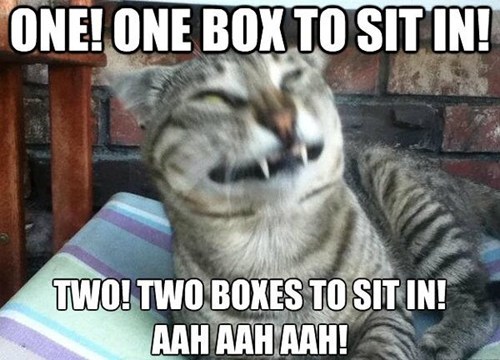 Counting With The Count Kitteh