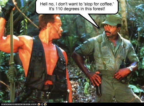 And I Think That Barista is a Predator