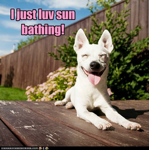 I just luv sun bathing!
