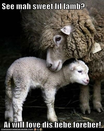 See mah sweet lil lamb?  Ai will love dis bebe foreber!