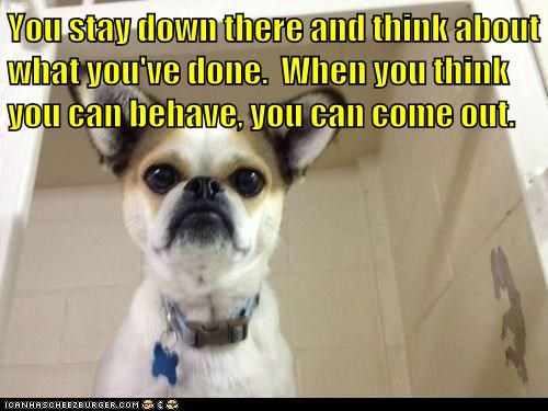 You stay down there and think about what you've done.  When you think you can behave, you can come out.