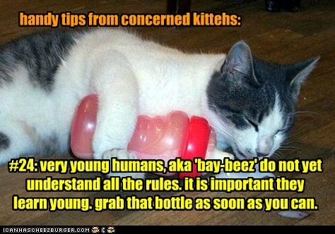 handy tips from concerned kittehs