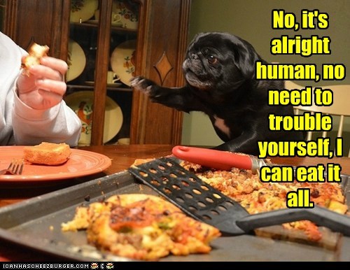 Don't trouble yourself!