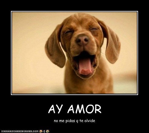 AY AMOR