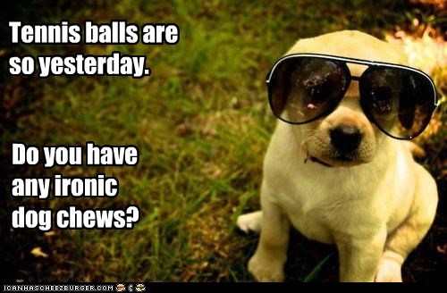 Hipster Dog says, "Not unless it's made by American Apparel."
