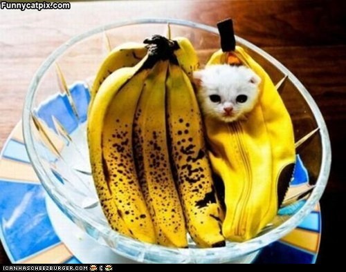 I are a Banana
