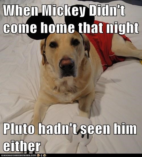 When Mickey Didn't come home that night  Pluto hadn't seen him either