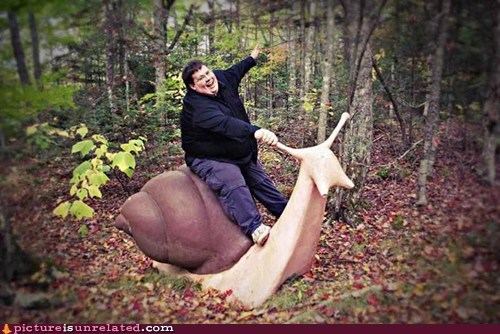 It Really Is a Racing Snail!
