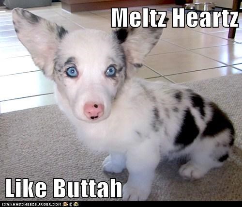 Meltz Heartz   Like Buttah