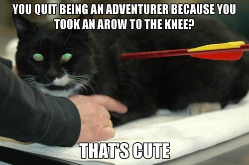 Kickass Cat of the Day