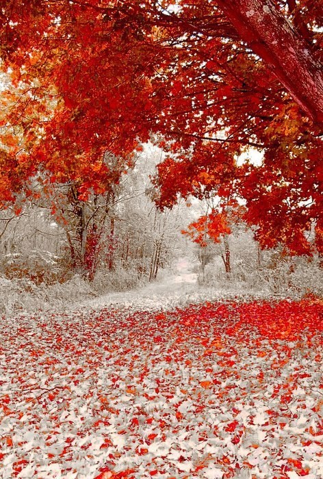 Meeting of Seasons in Minnesota
