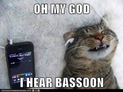 OH MY GOD  I HEAR BASSOON
