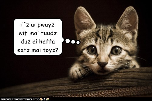 A Deep Thought From Kontumplatuv Kitteh