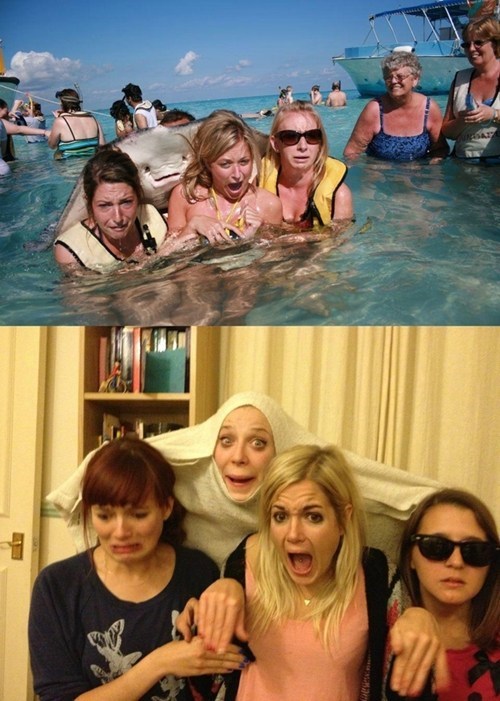 Stingray Photobomb Recreation