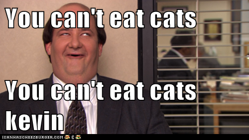 You can't eat cats  You can't eat cats kevin