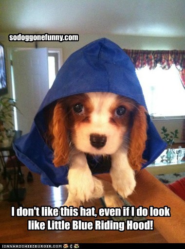I don't like this hat, even if I do look like Little Blue Riding Hood!