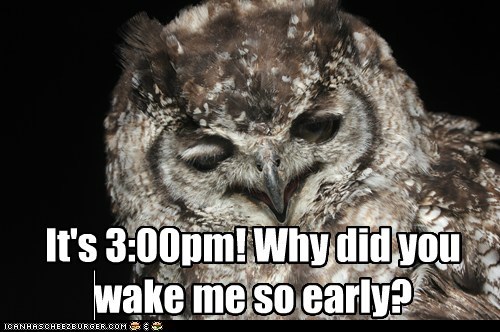 Night Owl