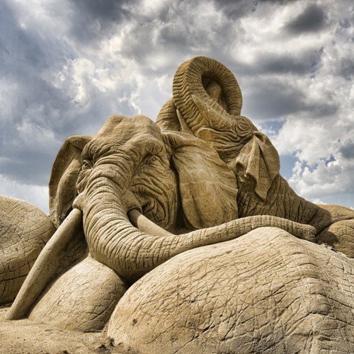 Sand Sculpture WIN