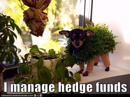 Hedge Funds