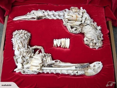 Bone Dueling Pistols