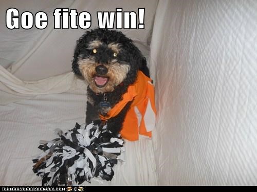 Goe fite win!