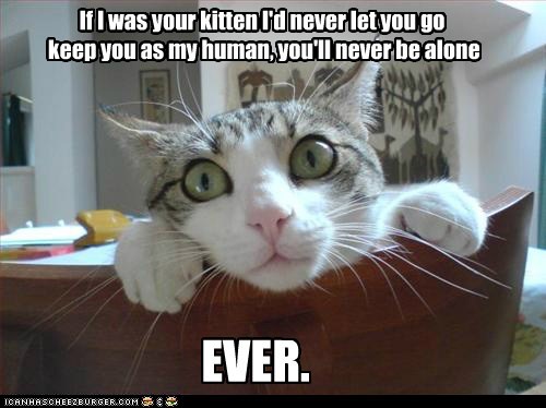 Overly Attached Feline----even when I want to go to the bathroom?