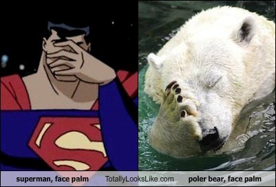 superman, face palm Totally Looks Like poler bear, face palm