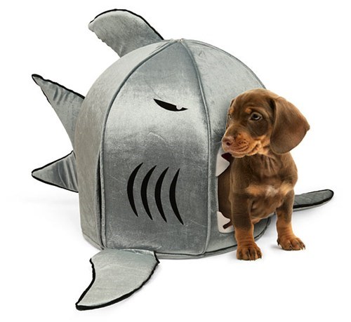 Goggie Swag: Shark Dog Bed