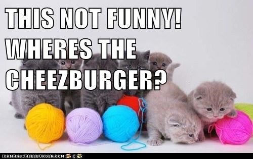 THIS NOT FUNNY! WHERES THE CHEEZBURGER?